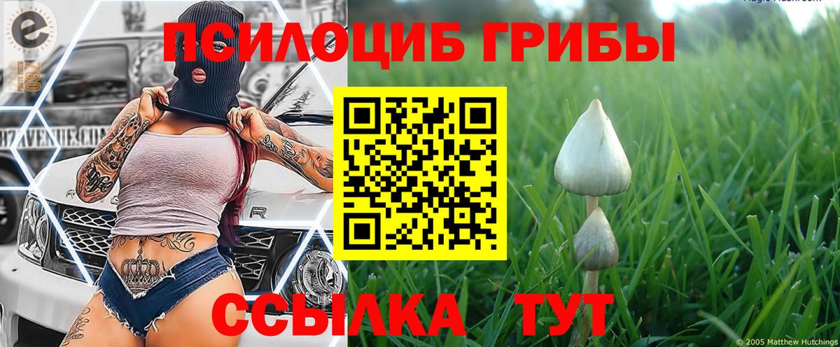 Псилоцибиновые грибы мицелий  Псилоцибиновые грибы Psilocybine cubensis  Шахты  Вход с VPN 